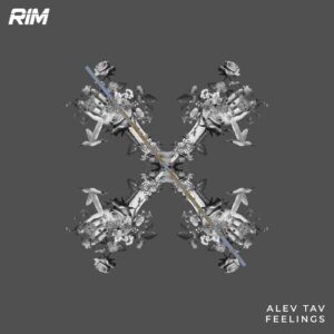 Alev Tav - Feelings [RIM174]