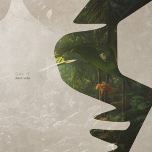 Avis Vox - Say It [SNA195]