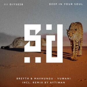 Breyth, Mavhungu - Vuwani [DIYS028]