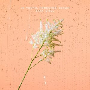 Le Youth, Forester, Lyrah - Stay Still [TNH223D]
