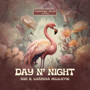 SIDE B, Karmina Milojevic - Day N' Night [FLRD011]