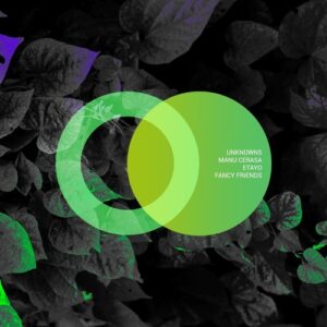 UnknownS, Manu Cerasa, Etayo - Fancy Friends [AVE226SE]