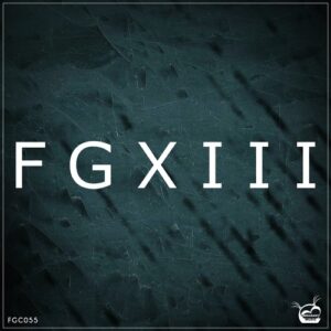 VA - FGXIII (13th Years Anniversary) [FGC055]