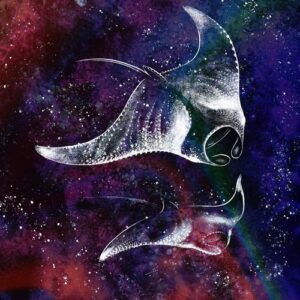 VA - Waterdrop EP - Part 3 [MOVIDA0163]