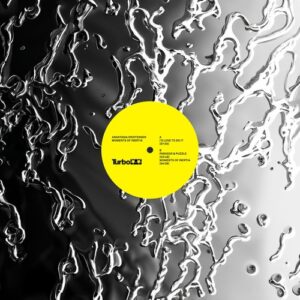 Anastasia Kristensen - Moments of Inertia [TURBO232D]