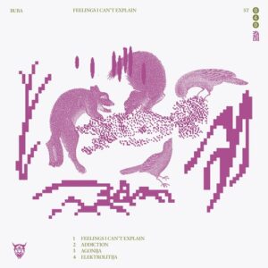 Buba & Pim Secle - Feelings I Can't Explain EP [ST040]