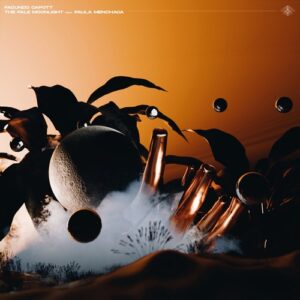 Facundo Capott feat. Paula Menchaca - The Pale Moonlight [IS042]