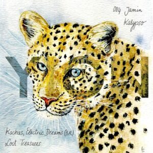 Kachas, Electric Dreams (BR), Jamin - Lost Treasure / Kalypso [YION084]