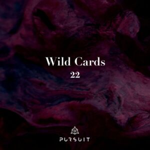 Maxim Sheremetev, BEIL, Bagagee Viphex13 - Wild Cards 22 [PRST099]