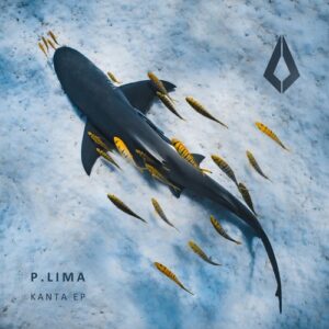 P.LIMA - Kanta [PF0162BP]