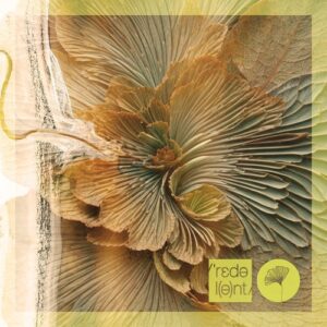 Sounds Of Rituals - Sounds Of Rituals & Friends [RDT052DW]