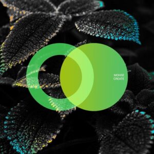 mohse - Create [AVE231]