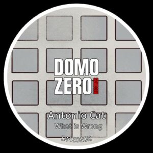 Antonio Cat - What is wrong [DMZ0202]