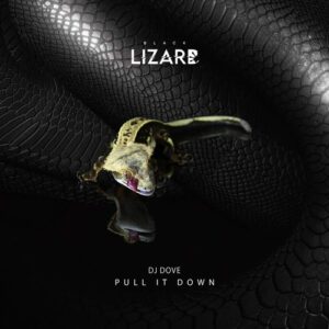 DJ Dove - Pull It Down [BL2426DJ]