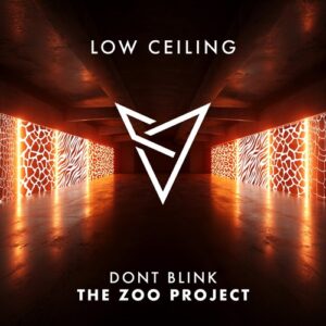 DONT BLINK, J Boogie Bailey - THE ZOO PROJECT [LOWC234]