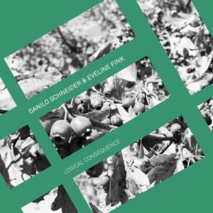 Danilo Schneider, Eveline Fink - Logical Consequence [EMD 40]