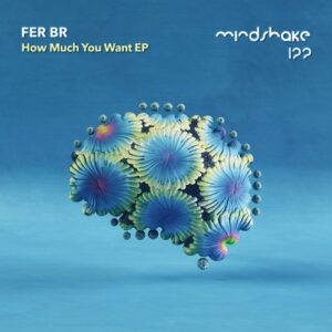 Fer BR - How Much You Want EP [MINDSHAKE122]