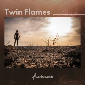 Flashmob, Laila Walker - Twin Flames [FMR259DB]
