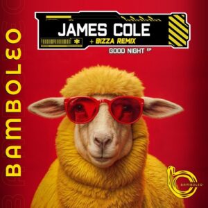 James Cole - Good Night EP [BAM033]