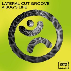 Lateral Cut Groove - A Bug's Life [INTU013]