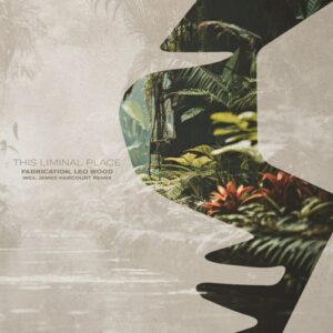 Leo Wood & Fabrication - This Liminal Place [SNA199]