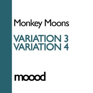 Monkey Moons - Variation 2 / Variation 3 [MOO013]
