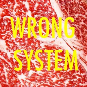 Tronik Youth - Wrong System [NEIN2421]