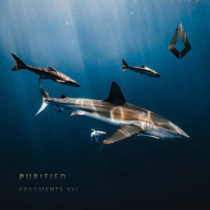 VA - Purified Fragments XXI [PF0163BP]