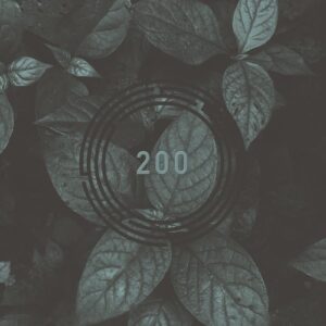 VA - RYNTH 200 [RYNTH200]
