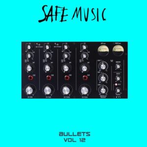 VA - Safe Music Bullets, Vol.12 [SAFEWEAP42]