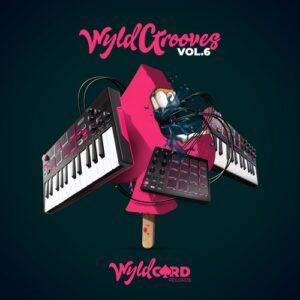 VA - WyldGrooves, Vol. 6 [WYLD154Q]