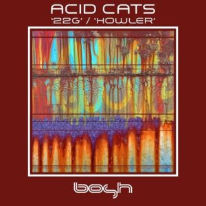 Acid Cats - 22G / Howler [BOSHD138]