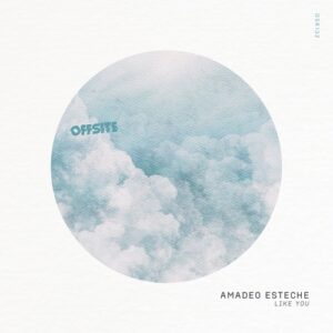 Amadeo Esteche - Like You [OSR132]