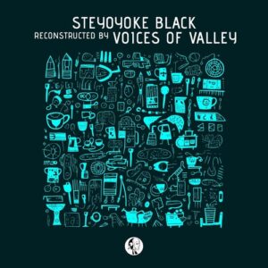 Aquiver & Night Stories - Steyoyoke Black Reconstructed by Voices Of Valley [SYYKBLK097]