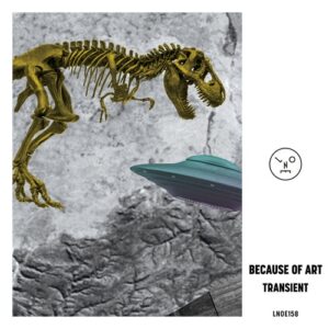 Because of Art - Transient [LNOE158]