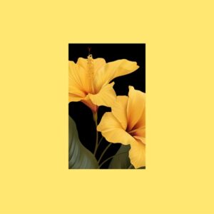 Budakid - Lovin' Sun [FLRS001DJ]