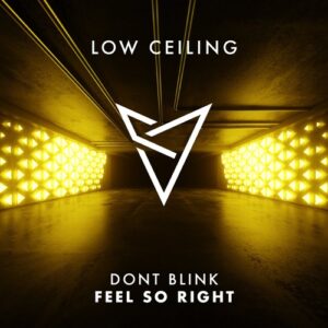 DONT BLINK - FEEL SO RIGHT [LOWC236]