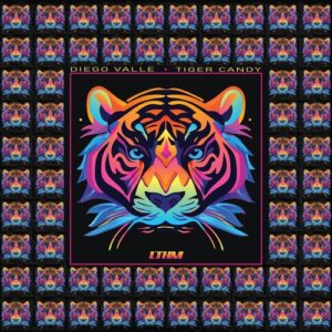 Diego Valle - Tiger Candy [LTHM131]