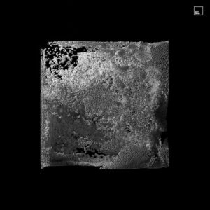 Hiroko Yamamura, David LeSal & Third Culture (USA) - Birds [OCT274]