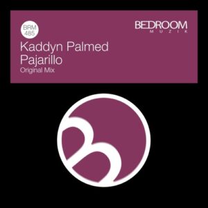 Kaddyn Palmed - Pajarillo [BRM485]