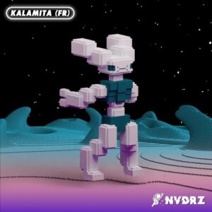 Kalamita (FR) - I Need I Wanna [NVDRZ137]