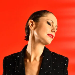 Kristin Velvet Wasp Nest Chart