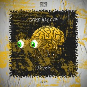 MarmoSet, Back In Groove, Evvy - Come Back [DGR123]