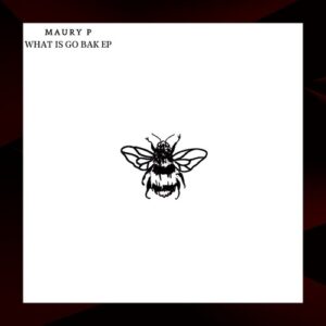 Maury P - What Is Go Bak EP [NSD081]