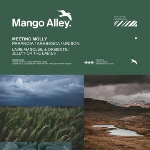 Meeting Molly - Paranoia / Arabesca / Unison [ALLEY273]