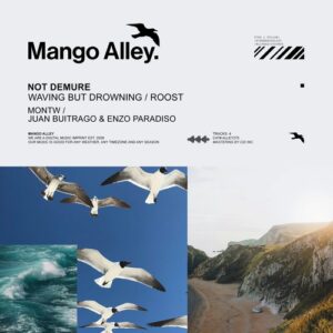 Not Demure - Waving But Drowning / Roost [ALLEY275]