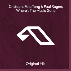 Paul Rogers - Where's The Music Gone [ANJDEE855BD]