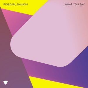 Pig&Dan & Siavash - What You Say (Extended Version) [085365419452]