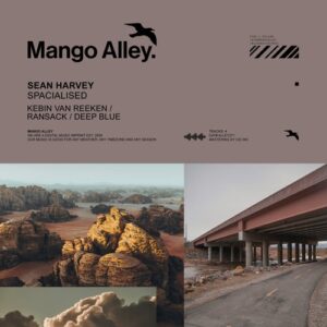 Sean Harvey - Spacialised [ALLEY271]