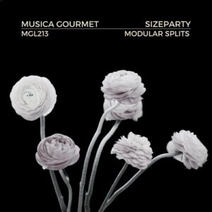 SizeParty - Modular Splits [MGL213]